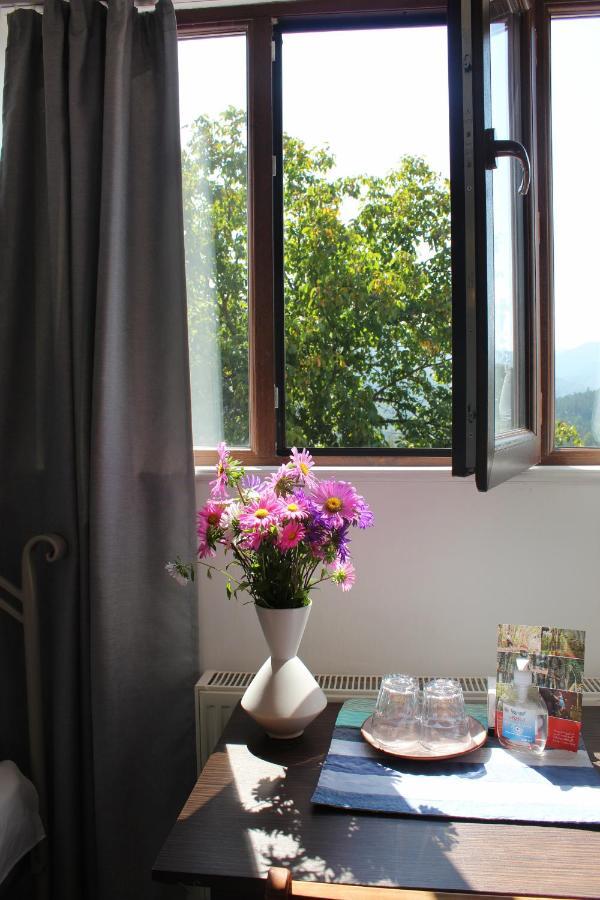 Toon Armeni Guest House Dilijan Exterior foto